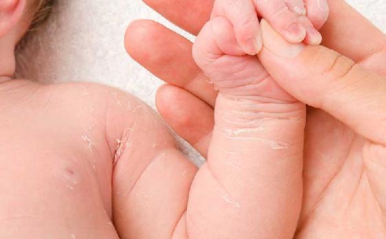 Bebble Cream-Soap (Olive Oil)