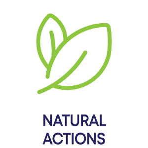 Dermedics Meso Hydra+ - certificate 3